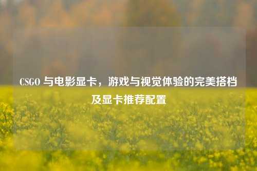 CSGO 与电影显卡，游戏与视觉体验的完美搭档及显卡推荐配置