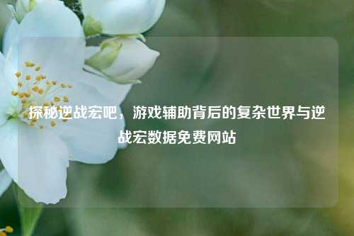探秘逆战宏吧，游戏辅助背后的复杂世界与逆战宏数据免费网站