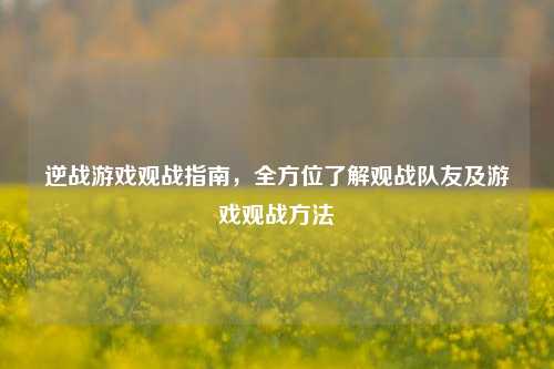 逆战游戏观战指南，全方位了解观战队友及游戏观战方法