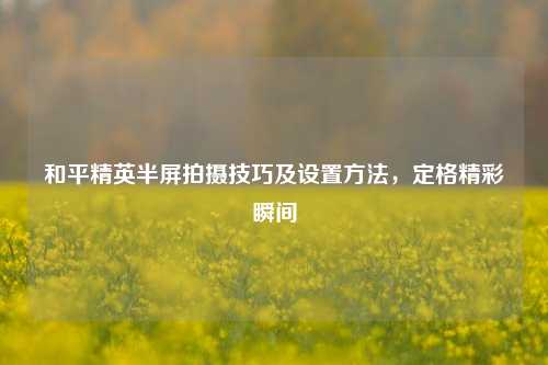 和平精英半屏拍摄技巧及设置方法,定格精彩瞬间