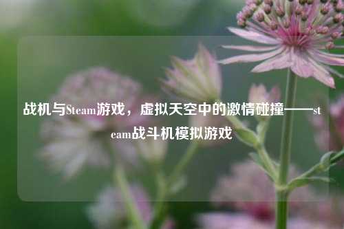 战机与Steam游戏，虚拟天空中的激情碰撞——steam战斗机模拟游戏