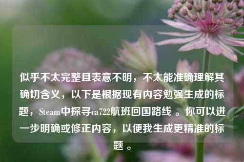 似乎不太完整且表意不明，不太能准确理解其确切含义，以下是根据现有内容勉强生成的标题，Steam中探寻ca722航班回国路线 。你可以进一步明确或修正内容，以便我生成更精准的标题 。