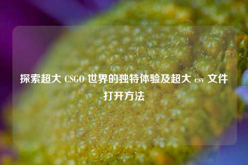 探索超大 CSGO 世界的独特体验及超大 csv 文件打开方法