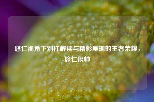 悠仁视角下别样解读与精彩呈现的王者荣耀，悠仁很帅