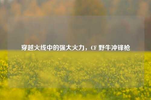 穿越火线中的强大火力，CF 野牛冲锋枪