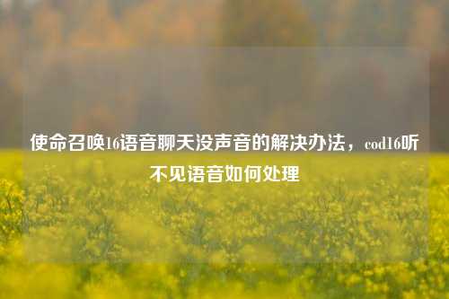 详细阅读:使命召唤16语音聊天没声音的解决办法,cod16听不见语音如何处理 使命召唤16语音聊天没声音的解决办法,cod16听不见语音如何处理