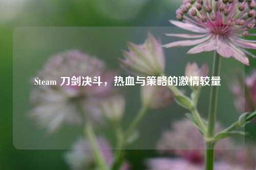 详细阅读:Steam 刀剑决斗,热血与策略的激情较量 Steam 刀剑决斗,热血与策略的激情较量