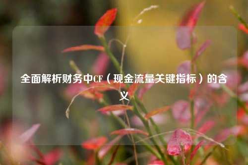 全面解析财务中CF（现金流量关键指标）的含义