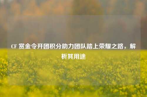 CF 赏金令开团积分助力团队踏上荣耀之路，解析其用途