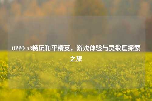 OPPO A8畅玩和平精英，游戏体验与灵敏度探索之旅