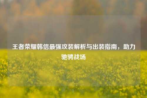 王者荣耀韩信最强攻装解析与出装指南，助力驰骋战场