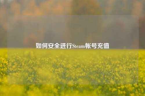 如何安全进行Steam帐号充值