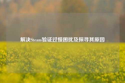 解决Steam验证过慢困扰及探寻其原因