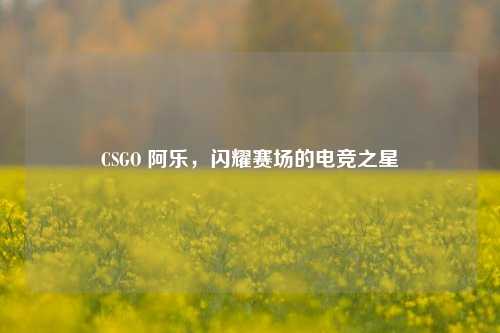 CSGO 阿乐,闪耀赛场的电竞之星