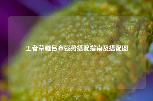 王者荣耀吕布强势搭配指南及搭配图