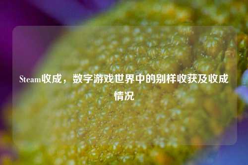 Steam收成，数字游戏世界中的别样收获及收成情况
