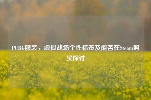 PUBG服装，虚拟战场个性标签及能否在Steam购买探讨