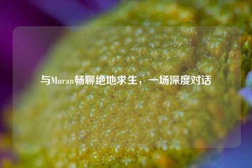 与Muran畅聊绝地求生，一场深度对话