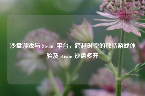 沙盘游戏与 Steam 平台，跨越时空的独特游戏体验及 steam 沙盘多开