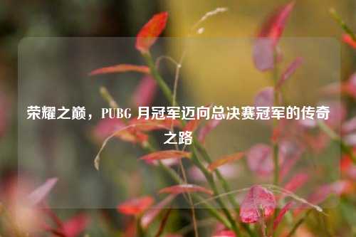 荣耀之巅，PUBG 月冠军迈向总决赛冠军的传奇之路