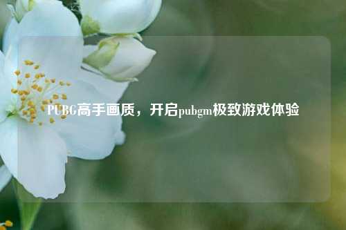 PUBG高手画质，开启pubgm极致游戏体验