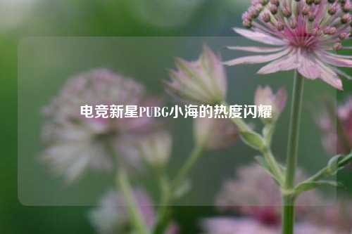 电竞新星PUBG小海的热度闪耀