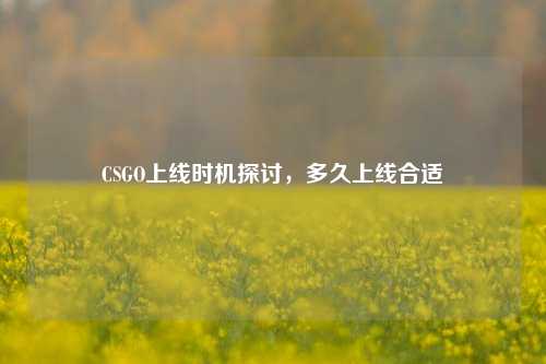 CSGO上线时机探讨，多久上线合适