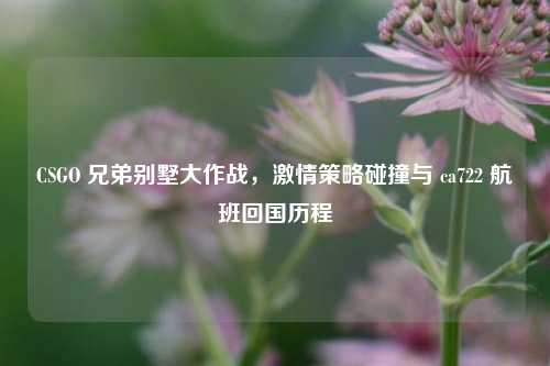 CSGO 兄弟别墅大作战，激情策略碰撞与 ca722 航班回国历程