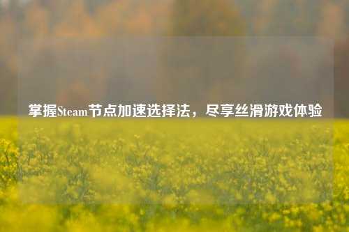 掌握Steam节点加速选择法，尽享丝滑游戏体验