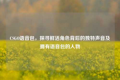 CSGO语音包，探寻鲜活角色背后的独特声音及拥有语音包的人物