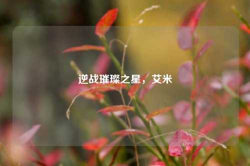逆战璀璨之星，艾米