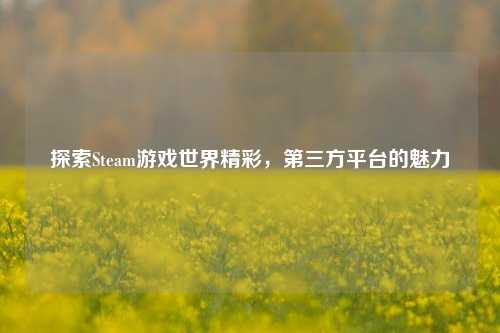 探索Steam游戏世界精彩,第三方平台的魅力