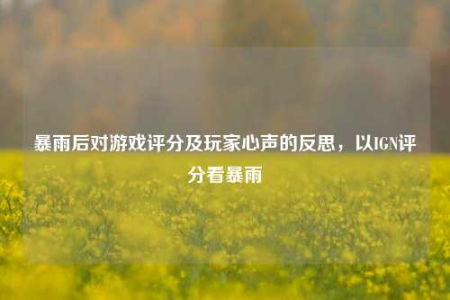 暴雨后对游戏评分及玩家心声的反思，以IGN评分看暴雨