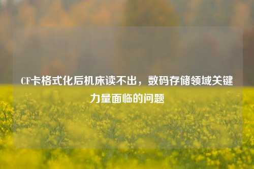 CF卡格式化后机床读不出，数码存储领域关键力量面临的问题