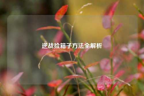 逆战捡箱子方法全解析
