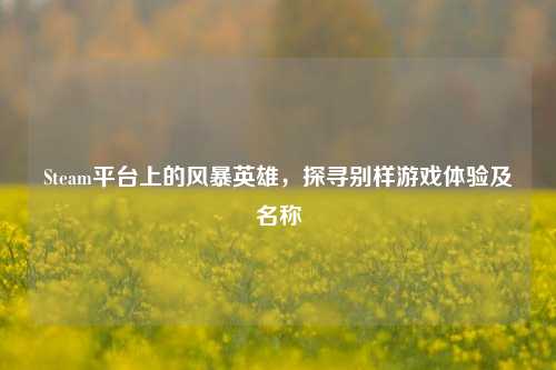 Steam平台上的风暴英雄，探寻别样游戏体验及名称