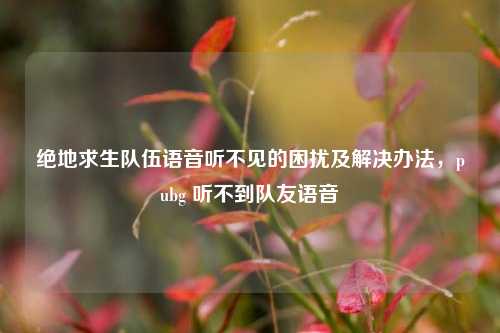 绝地求生队伍语音听不见的困扰及解决办法,pubg 听不到队友语音