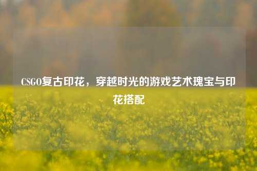 CSGO复古印花，穿越时光的游戏艺术瑰宝与印花搭配