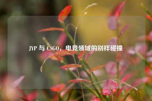 JYP 与 CSGO，电竞领域的别样碰撞