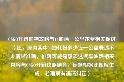 CSGO开箱抽物攻略与14油耗一公里花费相关探讨 (注,原内容中14油耗投多少钱一公里表述不太清晰准确,推测可能是想表达汽车油耗相关内容与CSGO开箱攻略结合,标题根据此理解生成,若理解有误请纠正)