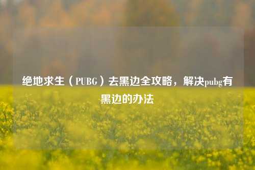 绝地求生(PUBG)去黑边全攻略,解决pubg有黑边的办法