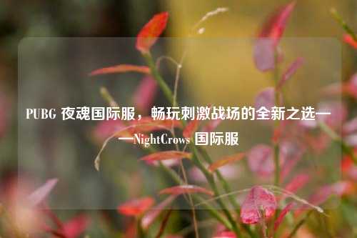 PUBG 夜魂国际服,畅玩刺激战场的全新之选——NightCrows 国际服