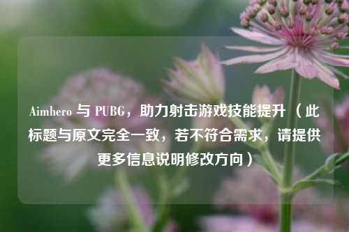 Aimhero 与 PUBG,助力射击游戏技能提升 (此标题与原文完全一致,若不符合需求,请提供更多信息说明修改方向)