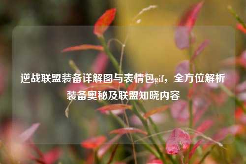 逆战联盟装备详解图与表情包gif,全方位解析装备奥秘及联盟知晓内容