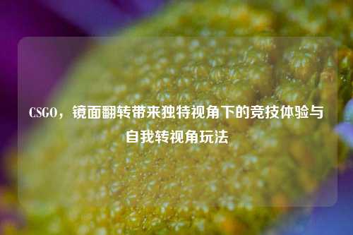 CSGO，镜面翻转带来独特视角下的竞技体验与自我转视角玩法