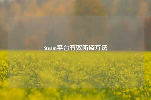 Steam平台有效防盗方法