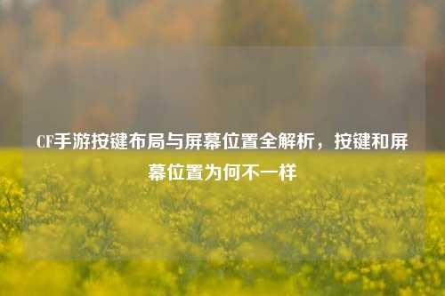 CF手游按键布局与屏幕位置全解析,按键和屏幕位置为何不一样