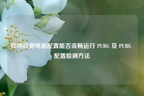 如何检测电脑配置能否流畅运行 PUBG 及 PUBG 配置检测方法