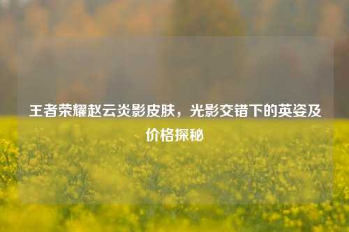 王者荣耀赵云炎影皮肤，光影交错下的英姿及价格探秘