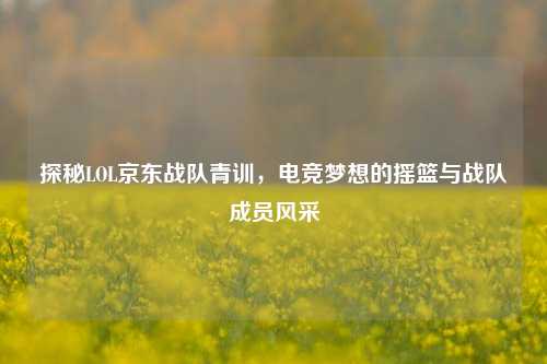 探秘LOL京东战队青训，电竞梦想的摇篮与战队成员风采